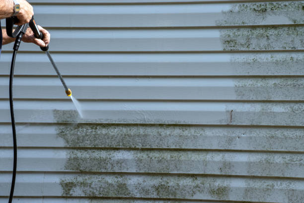 Best Hoarding Cleanup  in Good Hope, AL